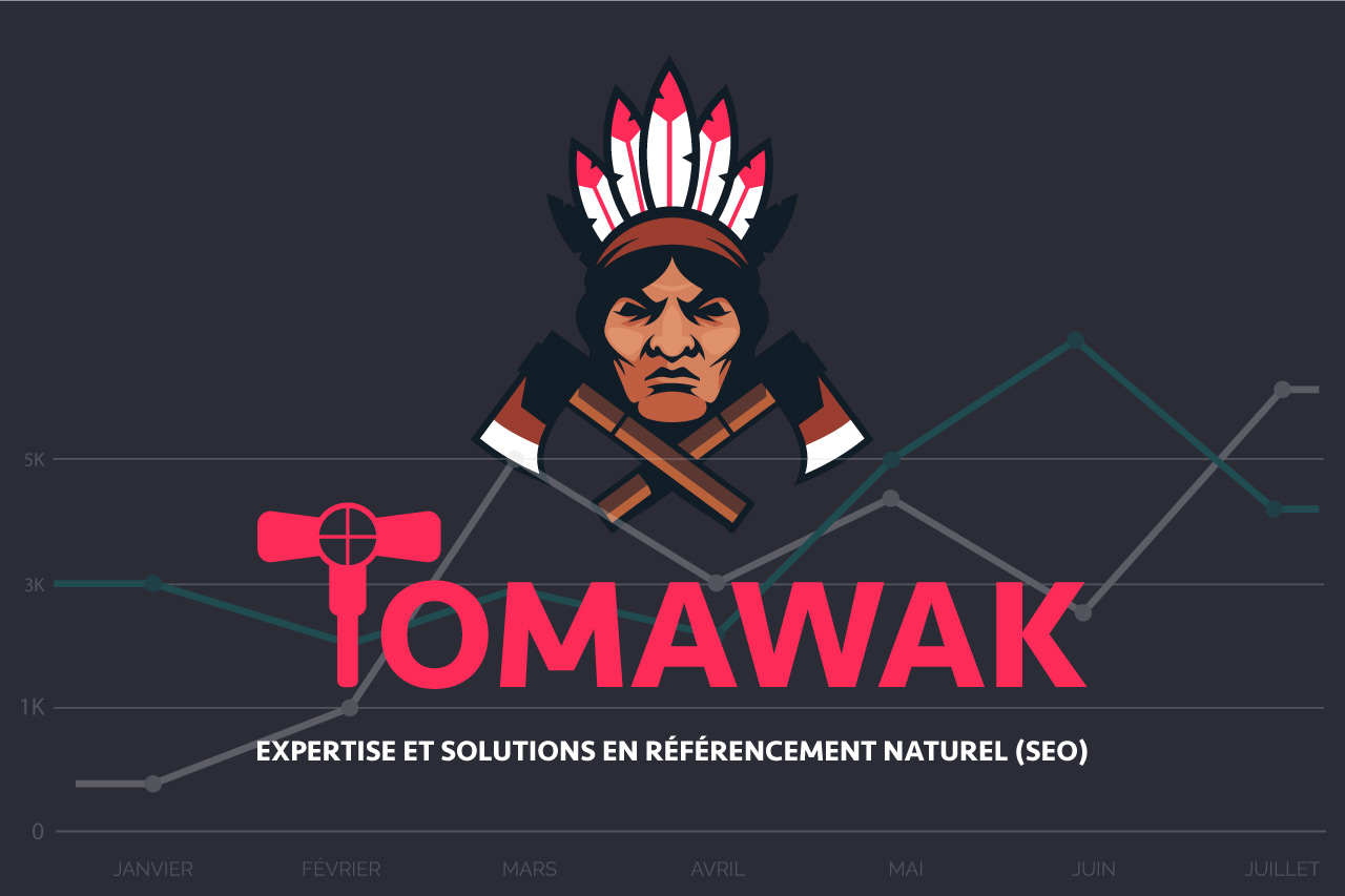 Expertise SEO et stratégie SEO : optimisez le référencement naturel (SEO) de votre site Internet durablement avec Tomawak, votre expert SEO
